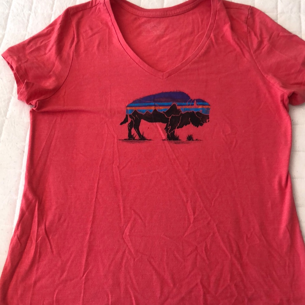 Patagonia top